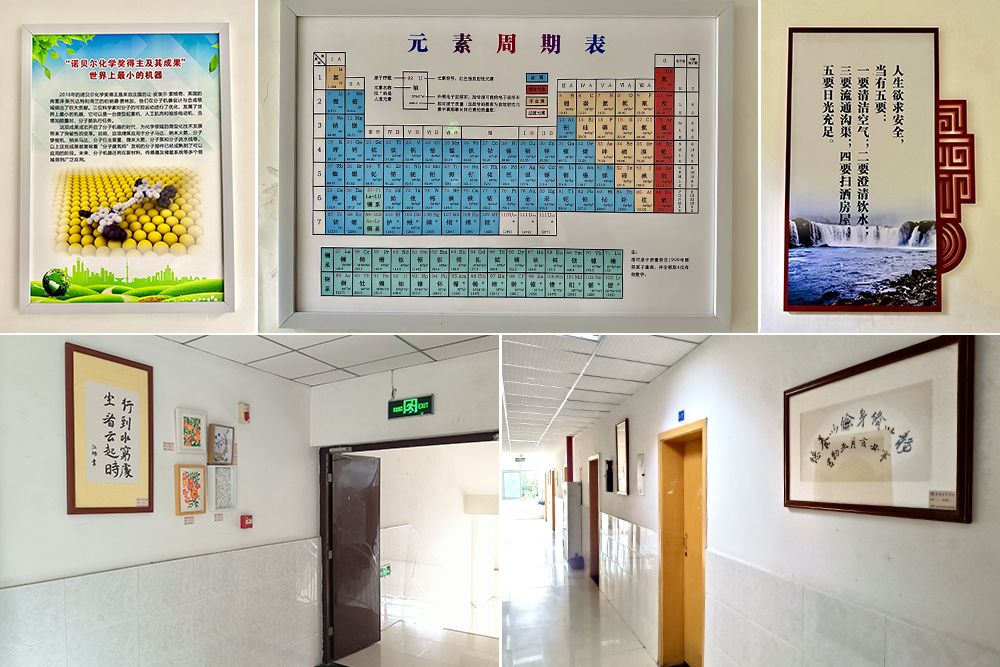 oDFK_1703663833023012284.jpg 2-化环.jpg