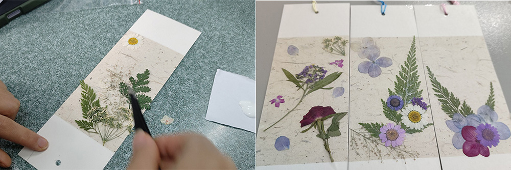 YwAN_1704274059448024086.jpg 未标题-2.jpg