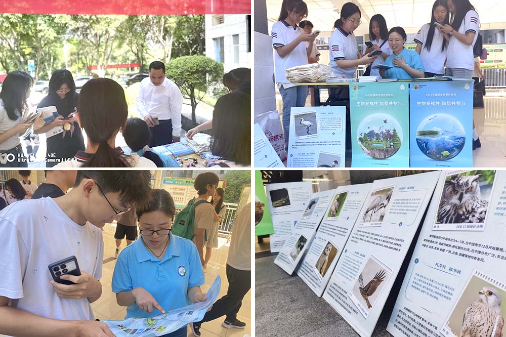 dBbD_1716457716855058683.jpg 20240522swdyxbh2.jpg