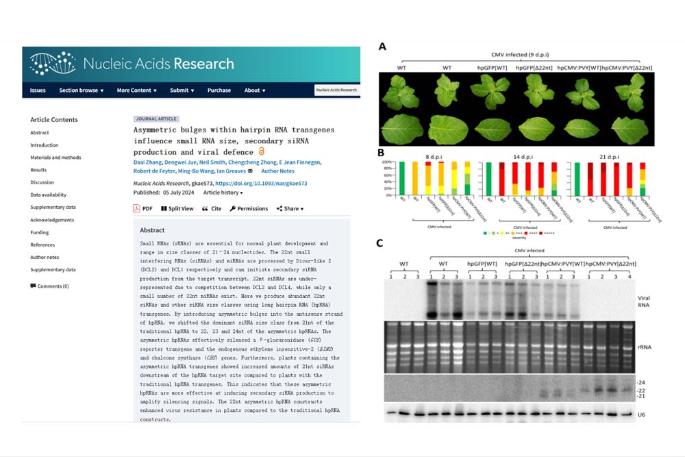 EQnc_1720776013590055739.jpg 20240712zhnyxylw.jpg