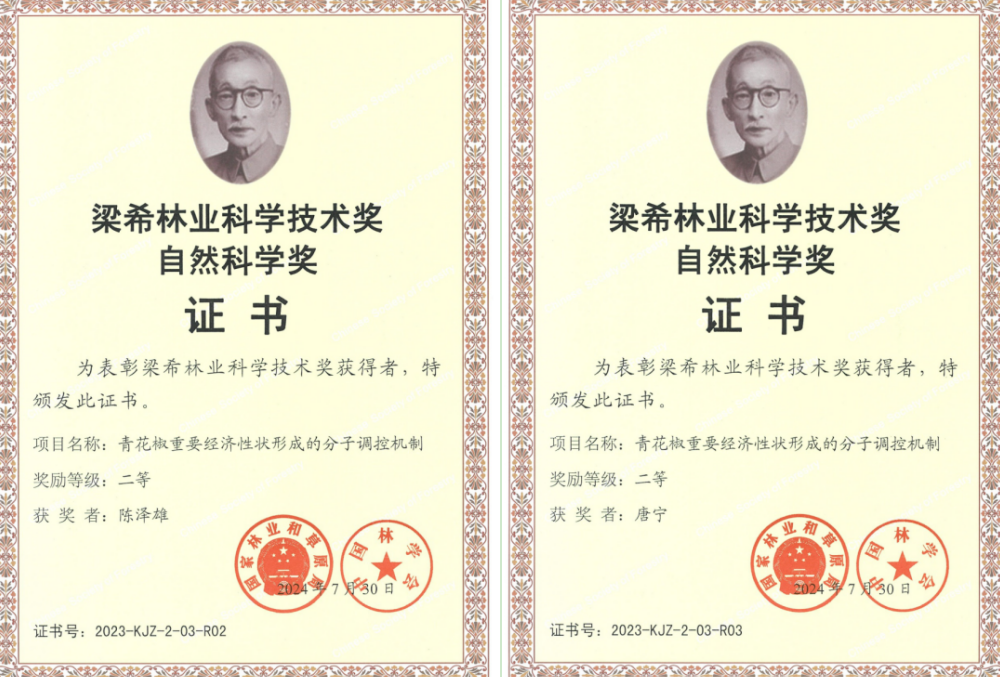 SoMk_1724381536735002344.png 农业3.png