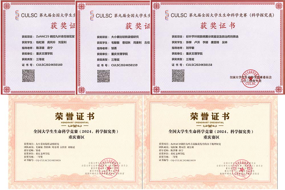 uJoj_1726099749940098920.jpg 20240911nyjshj1.jpg