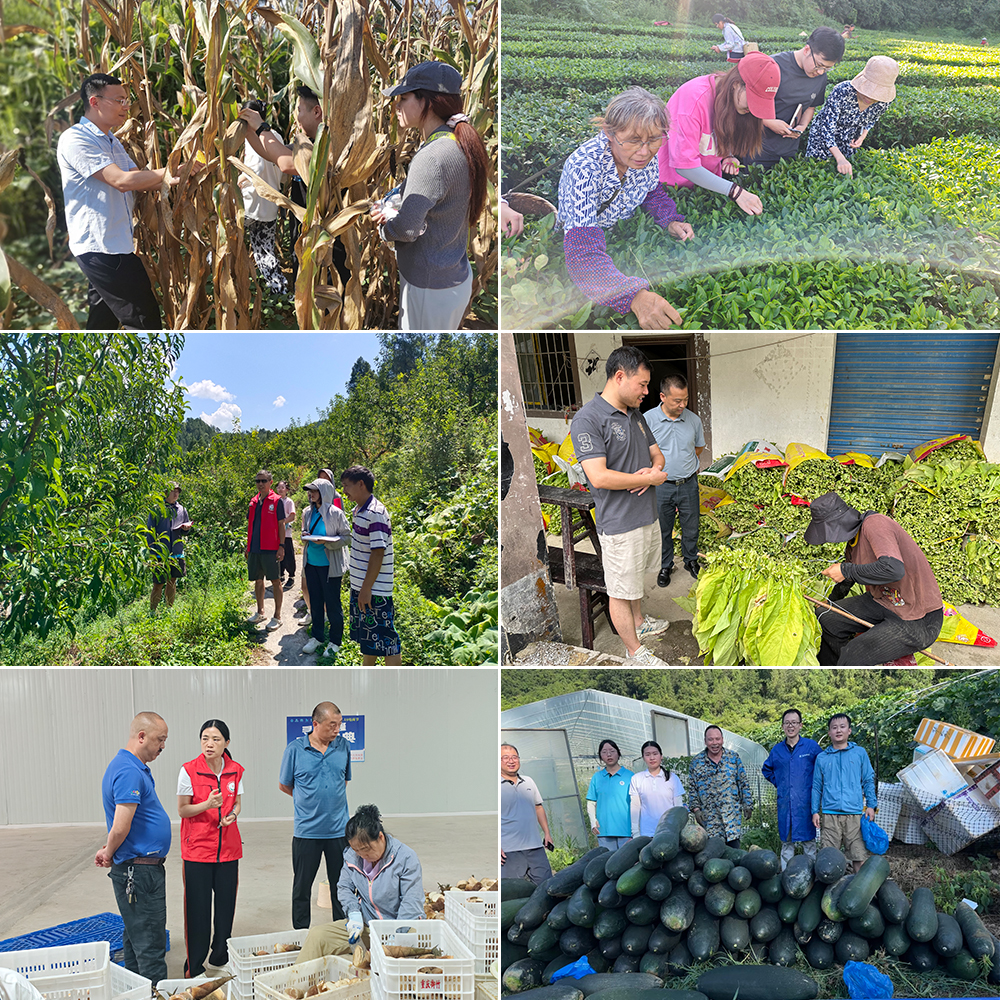 etFk_1754908986711012608.jpg 20250811yjscwlx2.jpg