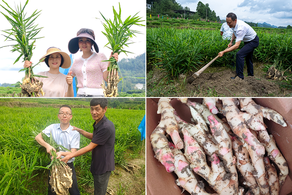 YENx_1758204346330032461.jpg 20250918qjsjkw5.jpg