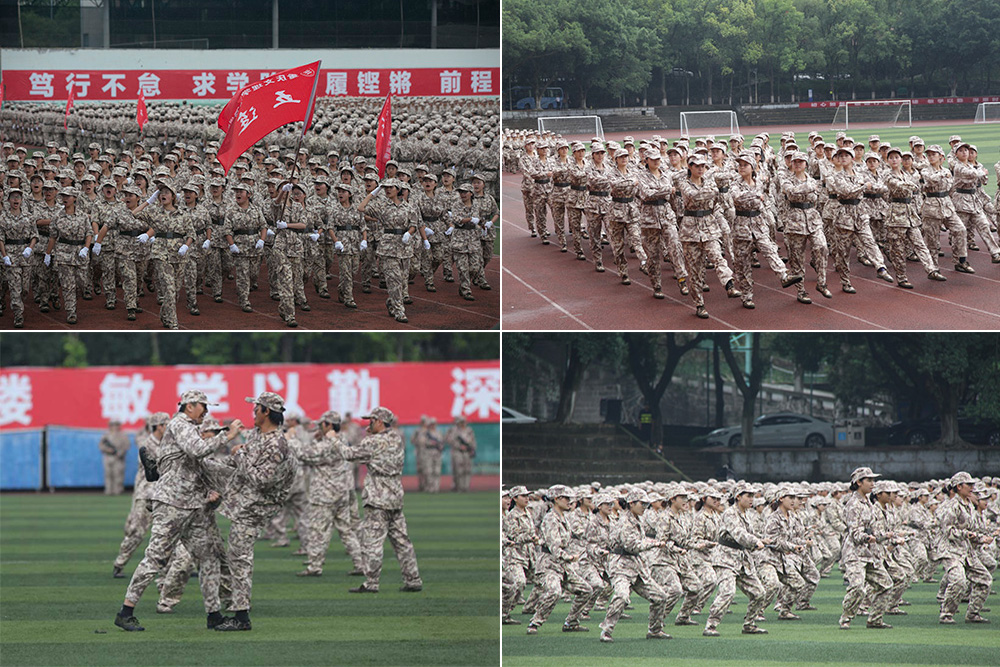 PJMx_1759230613300067813.jpg 未标题-2.jpg