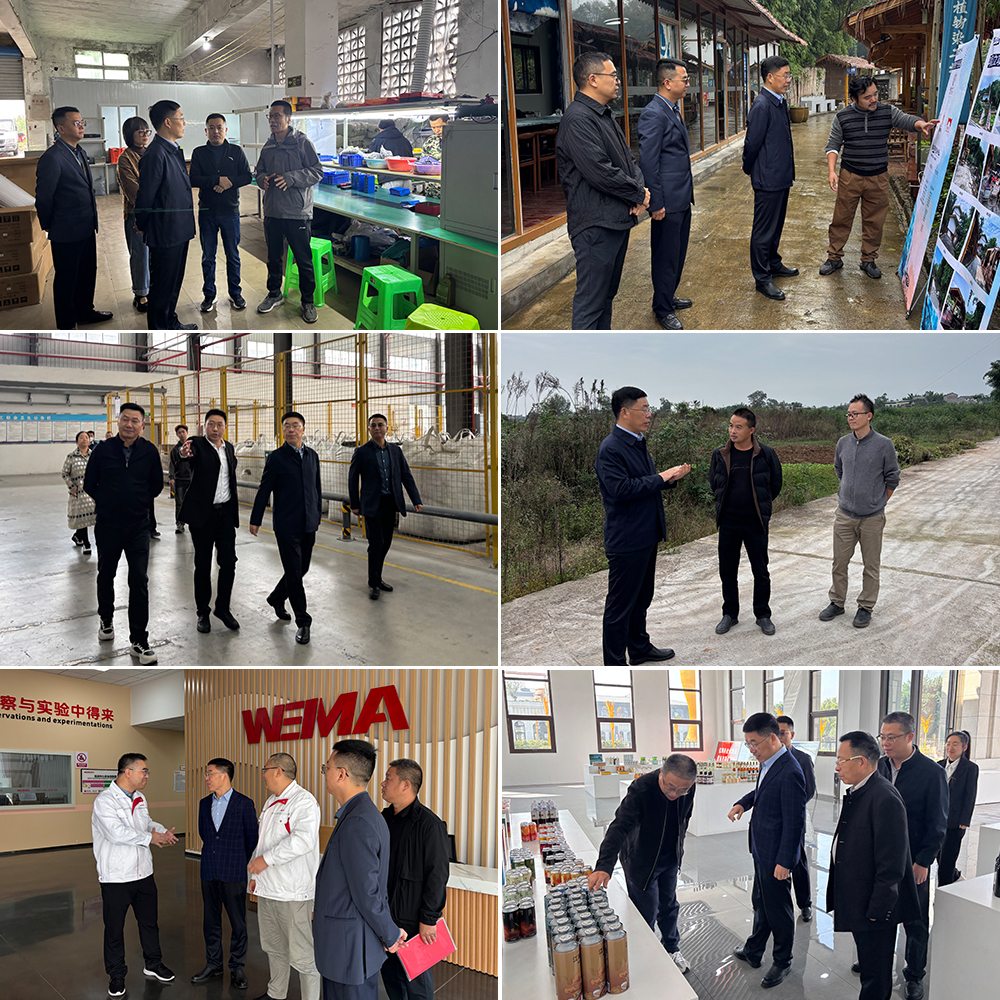 OAtc_1761661017260069253.jpg 20250928csjdy.jpg