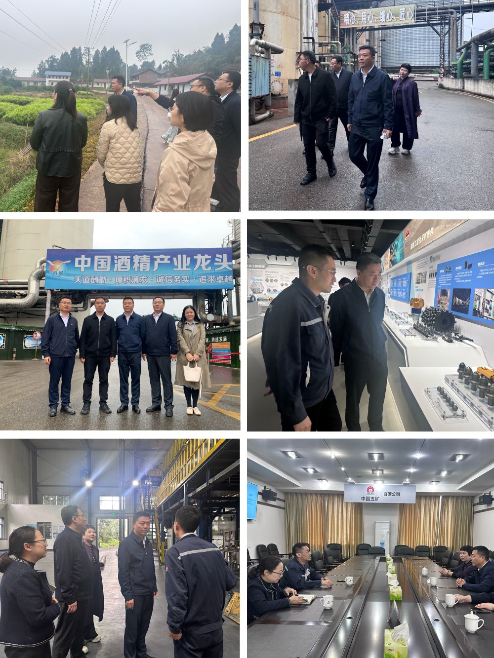 cbkD_1762064601135098698.jpg 拼图缩.jpg