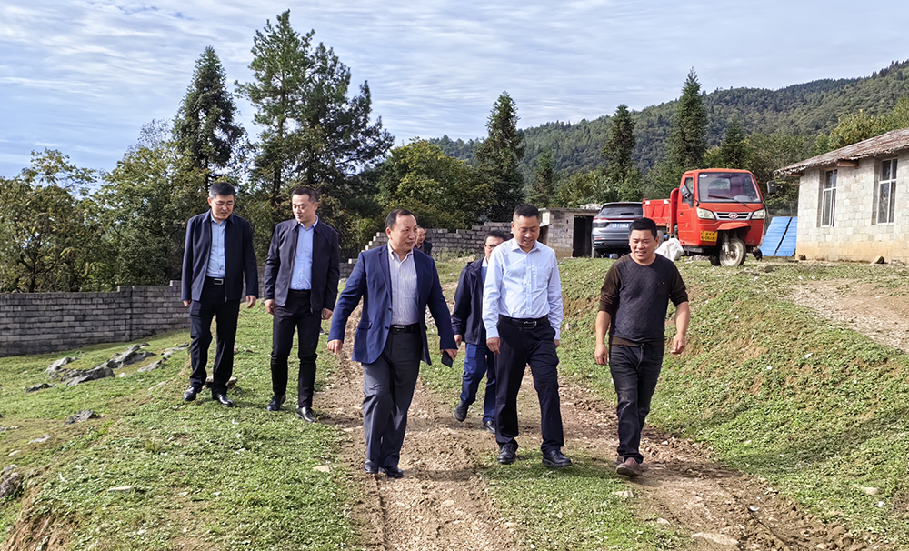 iadA_1763225602470015993.jpg 2.jpg