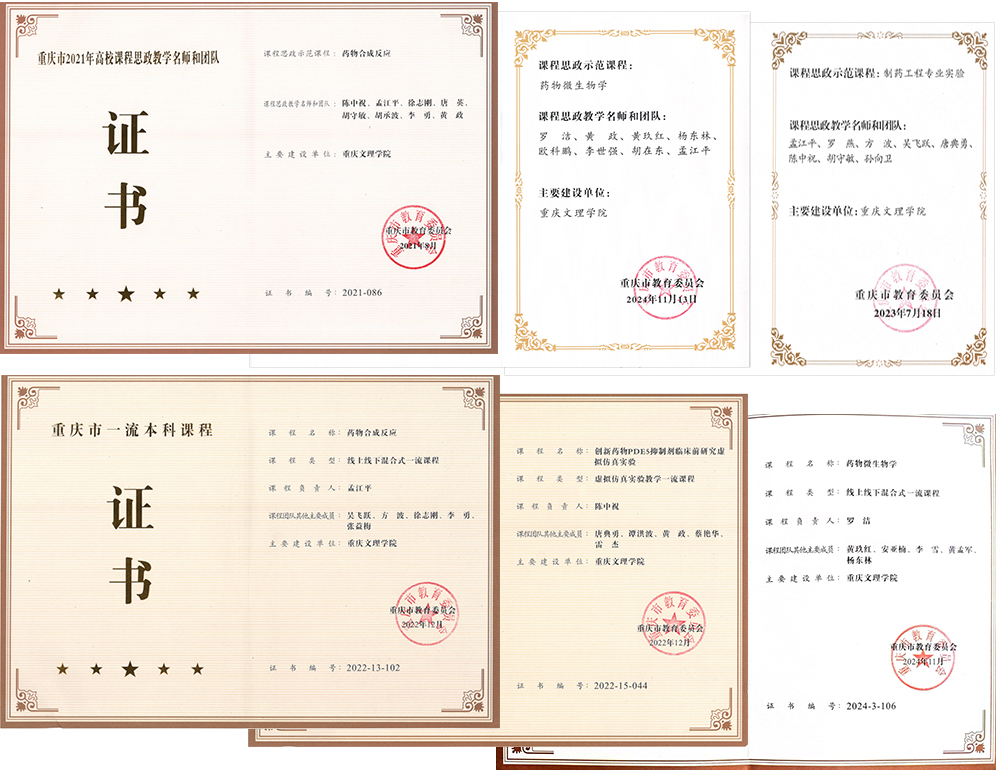 zgeG_1763223044498074702.jpg 4.jpg