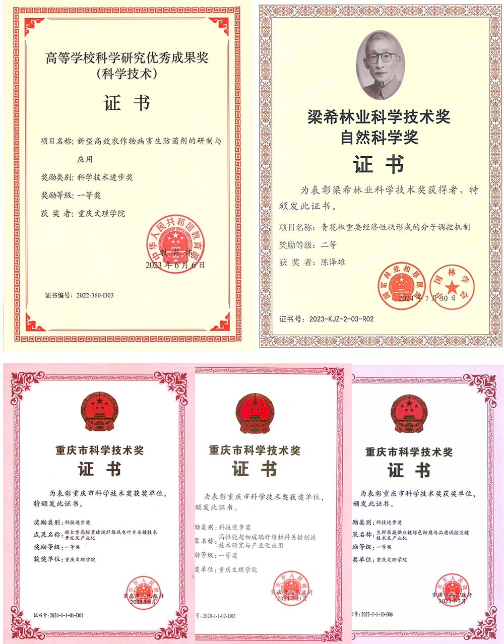 SFWu_1763438045507040641.jpg 1.jpg