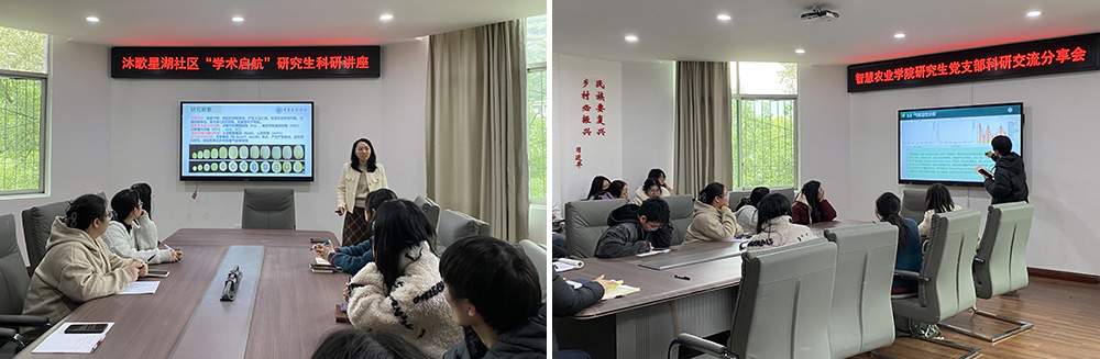 研究生讲座拼图.jpg