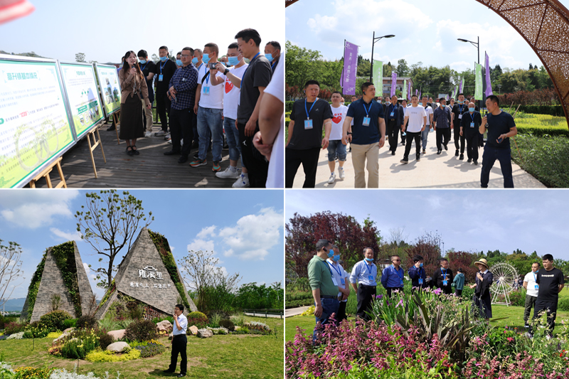 lZNy_1650265377852069145.jpg 20220415xczxsfb5.jpg