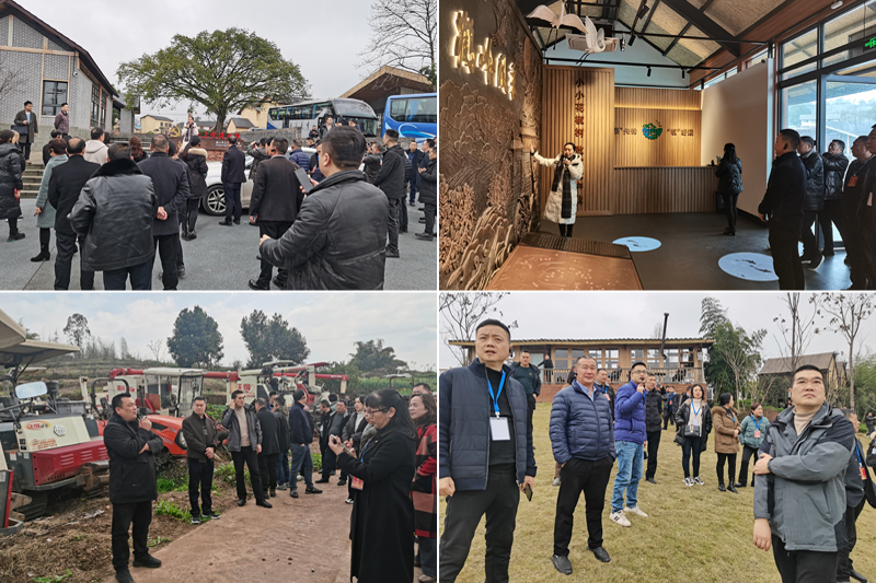 CokS_1677475395675065835.jpg 20230227xczxsjpx4.jpg