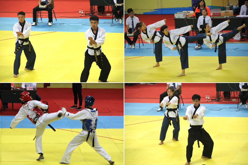 1526285578990095658.jpg 20180513tqdhj1.jpg