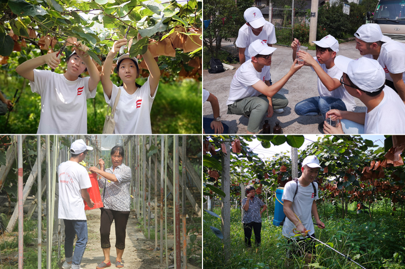 1531882117611025148.jpg 20180715lsxysxx2.jpg