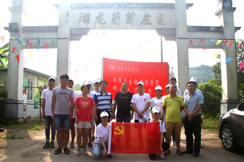 1531882127443064546.jpg 20180715lsxysxx1.jpg