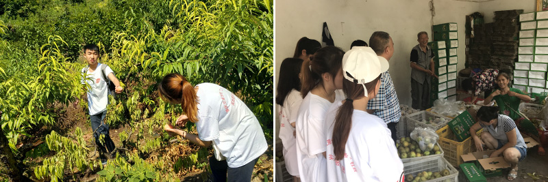 1532080285201012284.jpg 20180717ggxysxx2.jpg