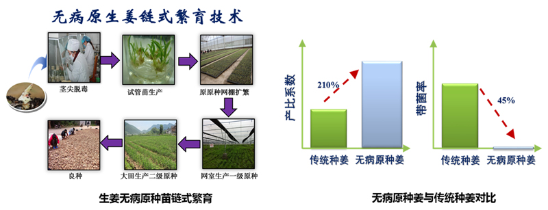 1540872587114008054.jpg 20181026lyqhj3.jpg