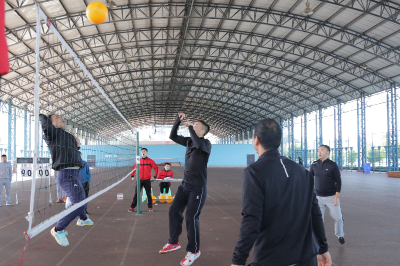 1541735120421010828.jpg 20181108qpq4.jpg