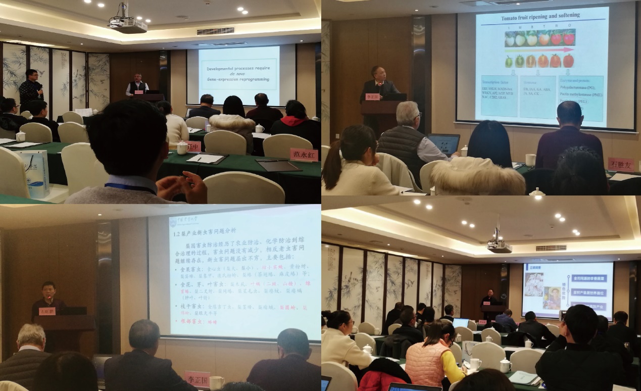 1546420457625052004.jpg 3.jpg