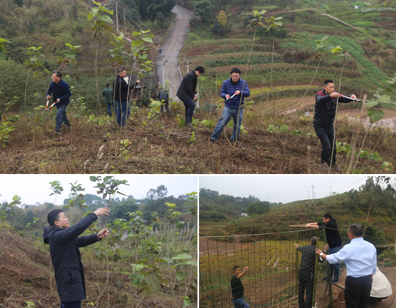 1575938238518064700.jpg 20191204zyhd2.jpg