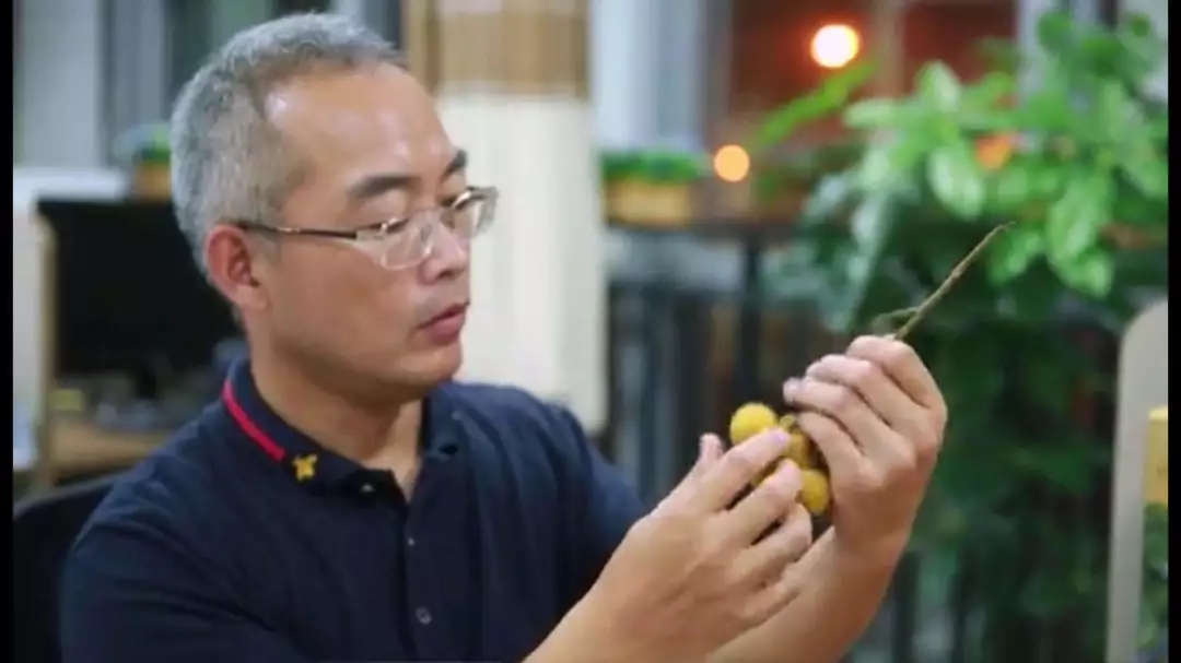 1539179333537010818.png 4.png