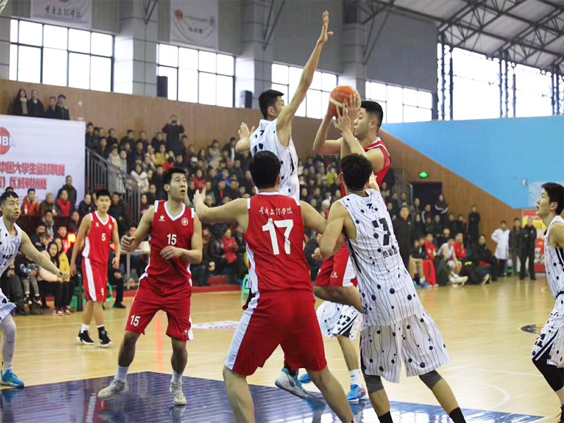 1551325610684037093.jpg 20190228111.jpg