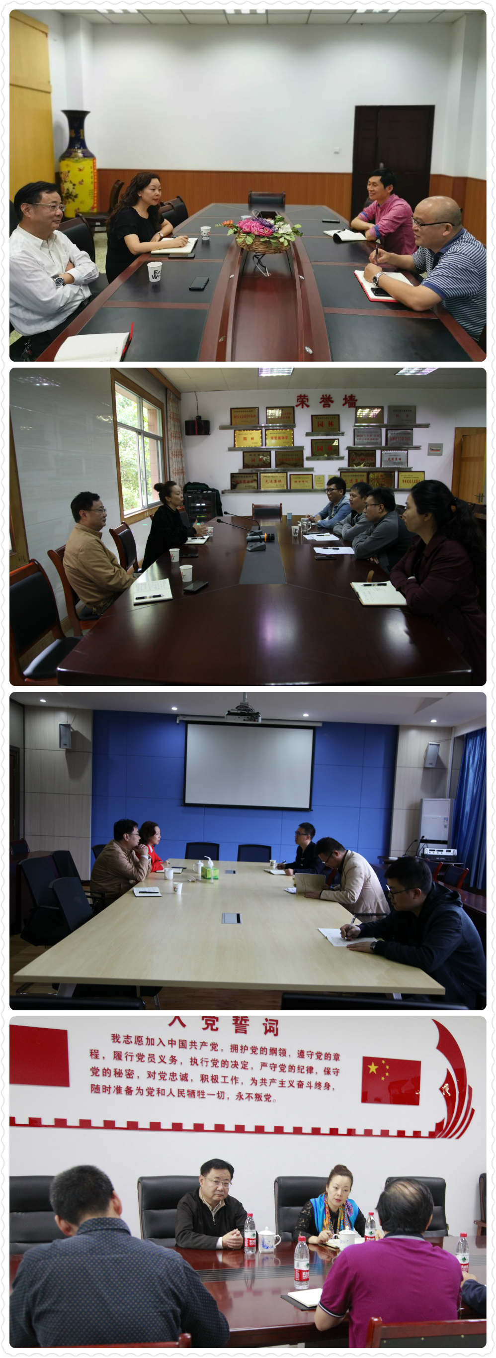 1572451099354036002.jpg 拼图.jpg